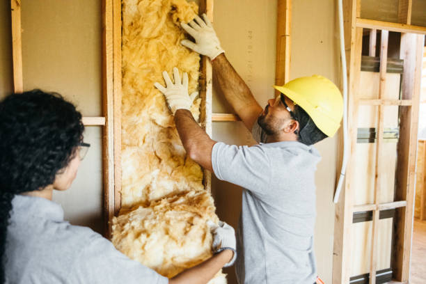 Best Insulation Removal Services  in Wareham Center, MA