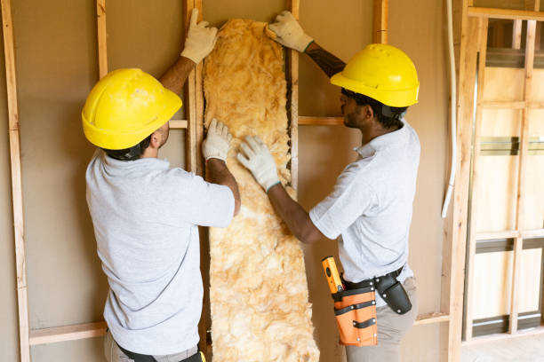 Best Insulation Removal  in Wareham Center, MA